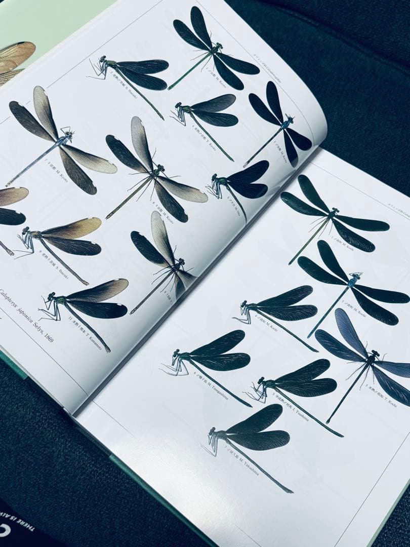 激レア 廃盤 原色日本トンボ幼虫・成虫大図鑑