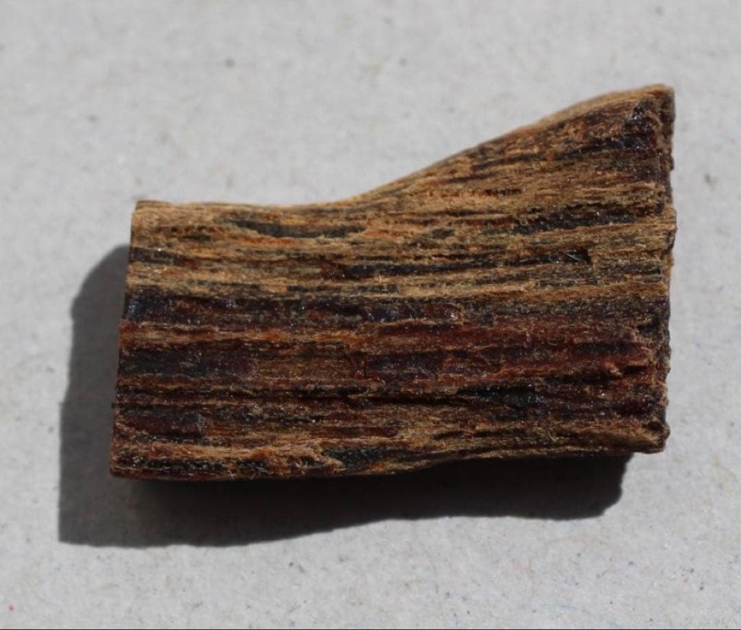 香木 古渡命銘木 「初音」約0. 49g 沈香 伽羅 奇南 奇楠 お香 香道