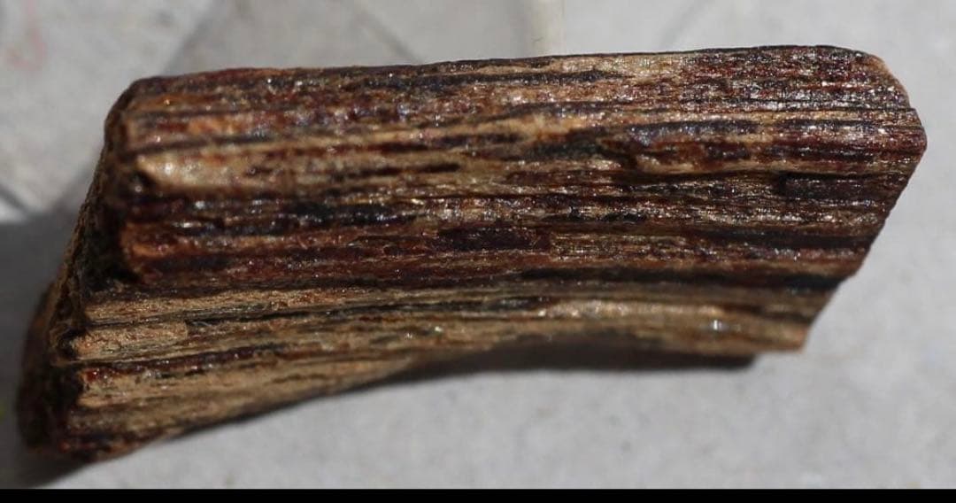 香木 古渡命銘木 「初音」約0. 49g 沈香 伽羅 奇南 奇楠 お香 香道