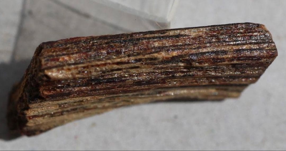 香木 古渡命銘木 「初音」約0. 49g 沈香 伽羅 奇南 奇楠 お香 香道