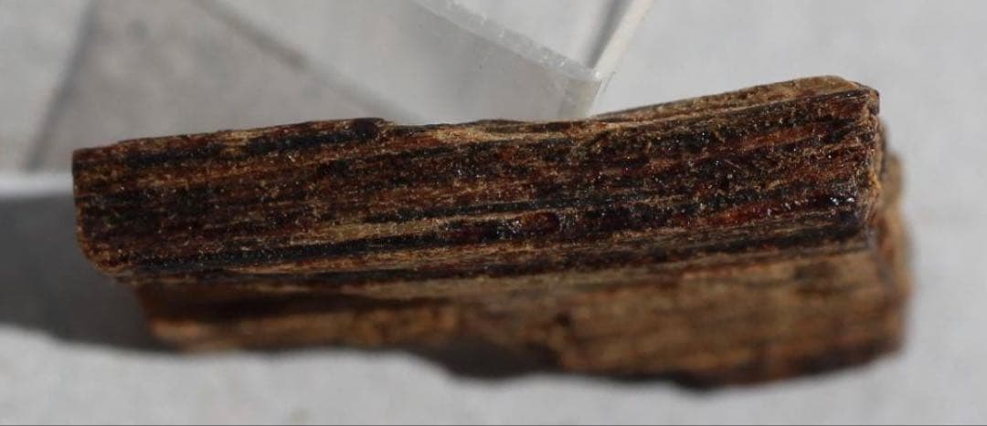 香木 古渡命銘木 「初音」約0. 49g 沈香 伽羅 奇南 奇楠 お香 香道