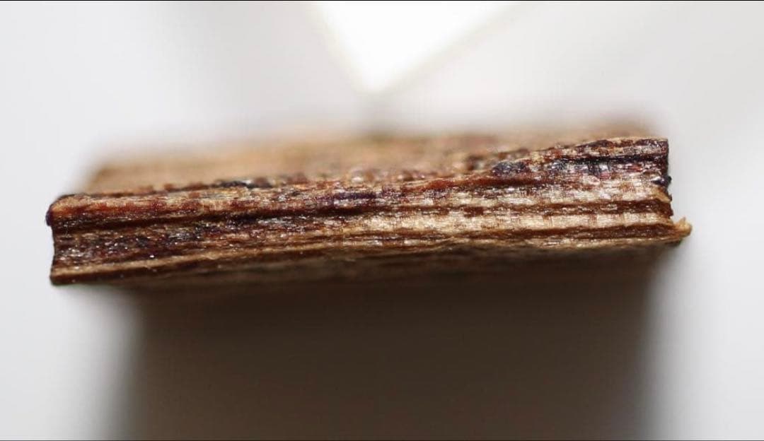 香木 古渡命銘木 「初音」約0. 49g 沈香 伽羅 奇南 奇楠 お香 香道