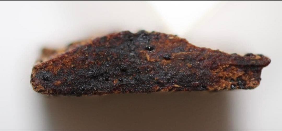 香木 古渡命銘木 「初音」約0. 49g 沈香 伽羅 奇南 奇楠 お香 香道