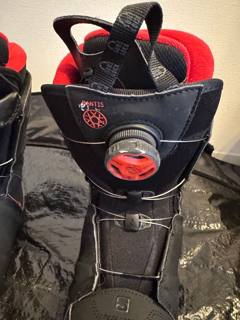 YONEX foaroc 20周年モデル、SALOMON MANTIS、ケース付