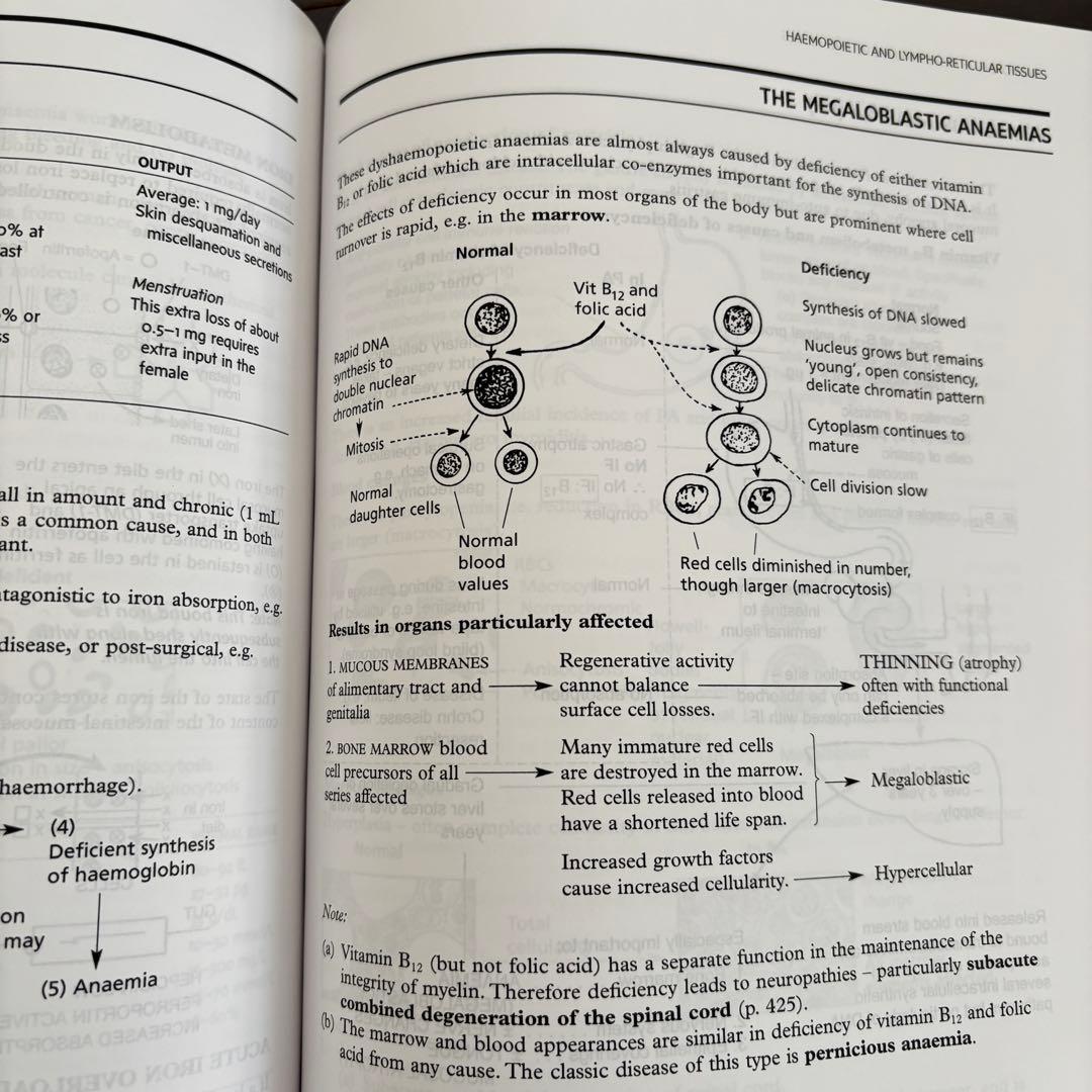 【洋書】 Pathology Illustrated 8th Edition