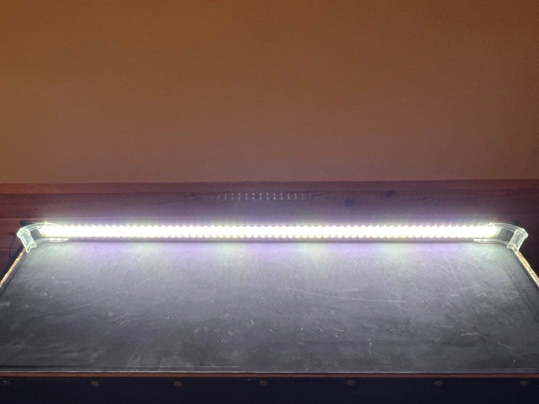 水槽 120cm×45cm×45cm ガラス 外部フィルター LEDライト台付き