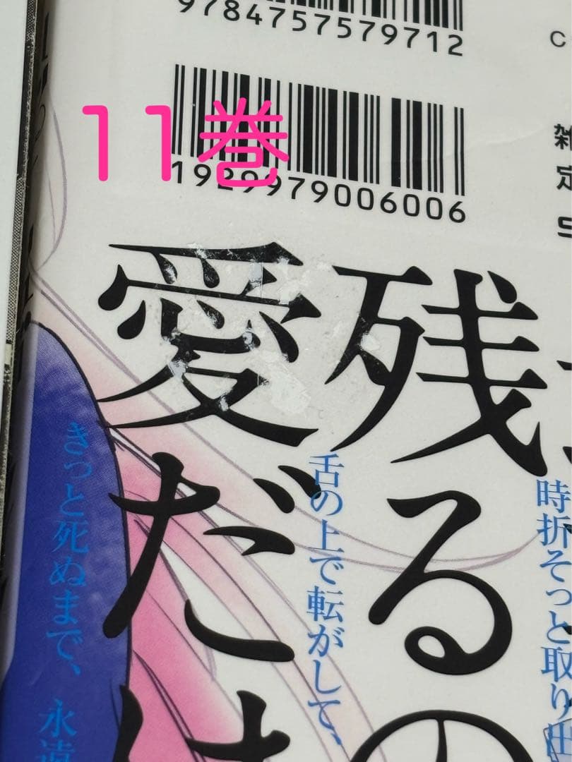 ハッピーシュガーライフ 全巻 11巻