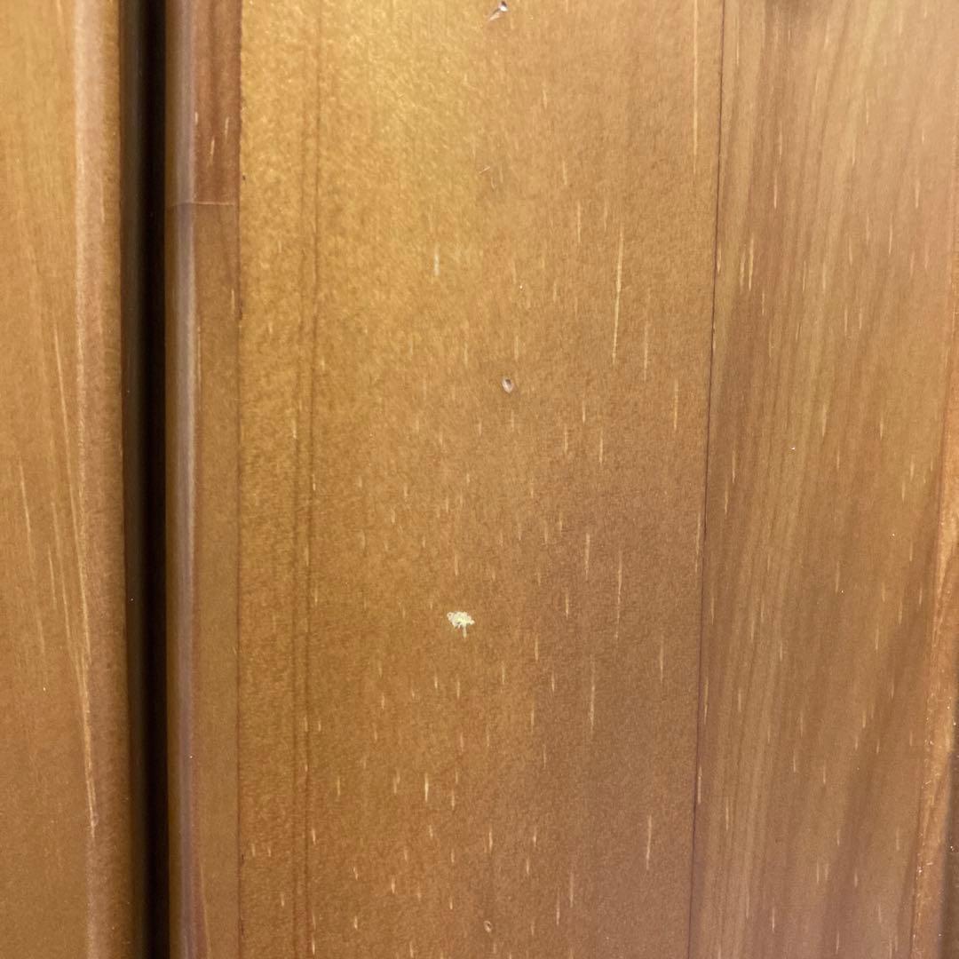 ナチュラル　木製 3ドア　ワードローブ　花の装飾付き