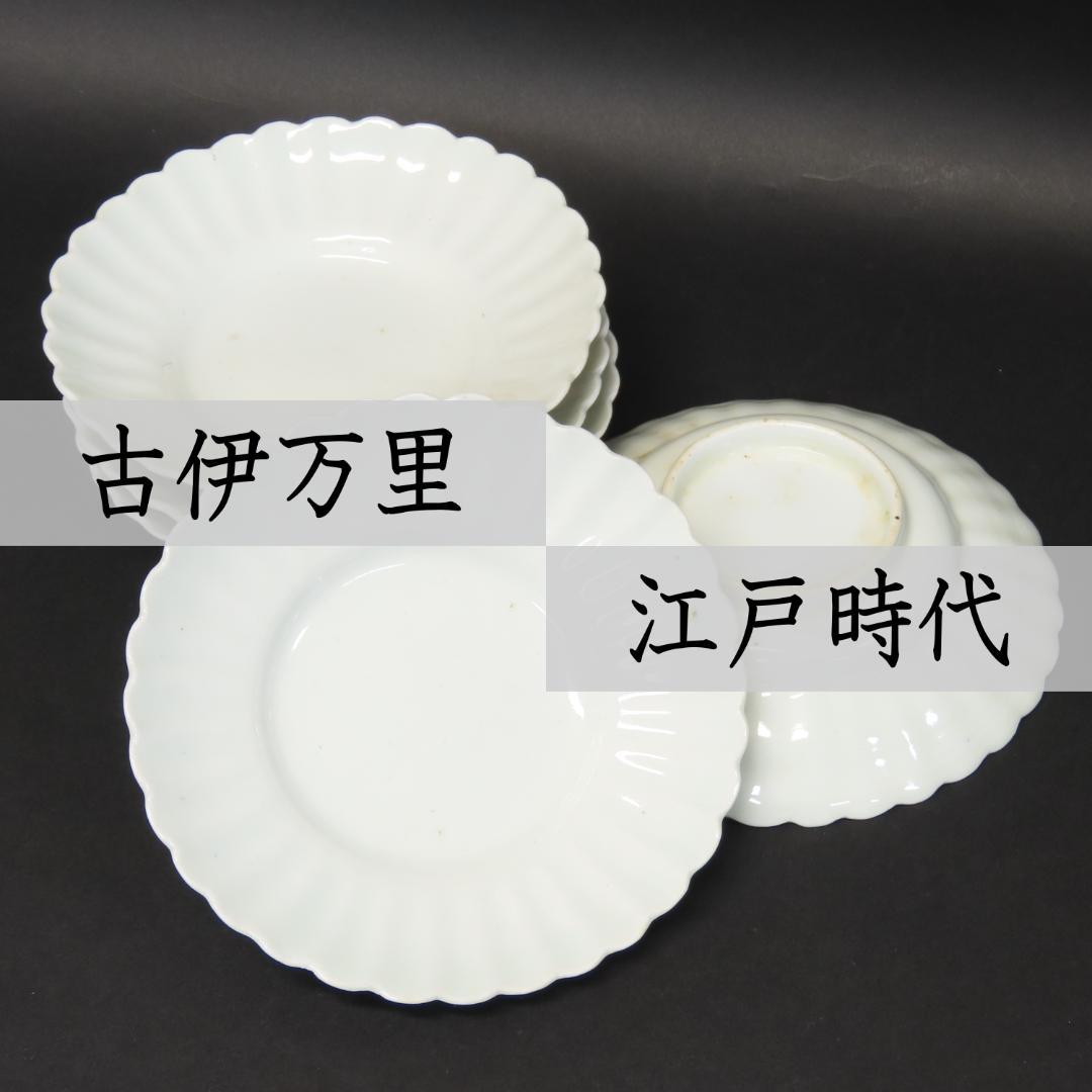 ⭕413 白磁 古伊万里 輪花形 中皿5客 無傷 直径15.5cm 江戸時代後期