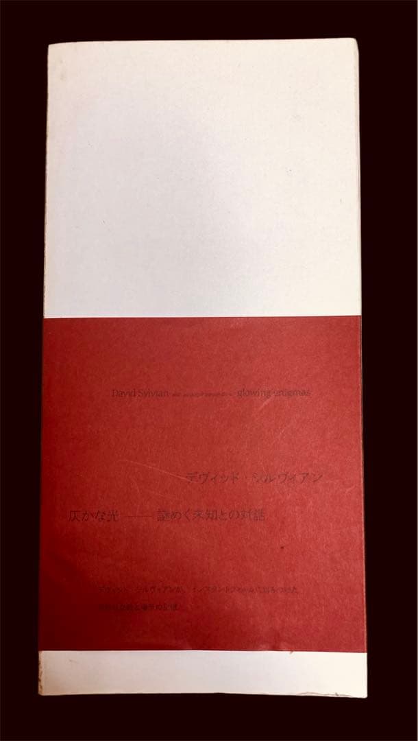 デヴィッド シルヴィアン ポラロイド作品集 限定1000部