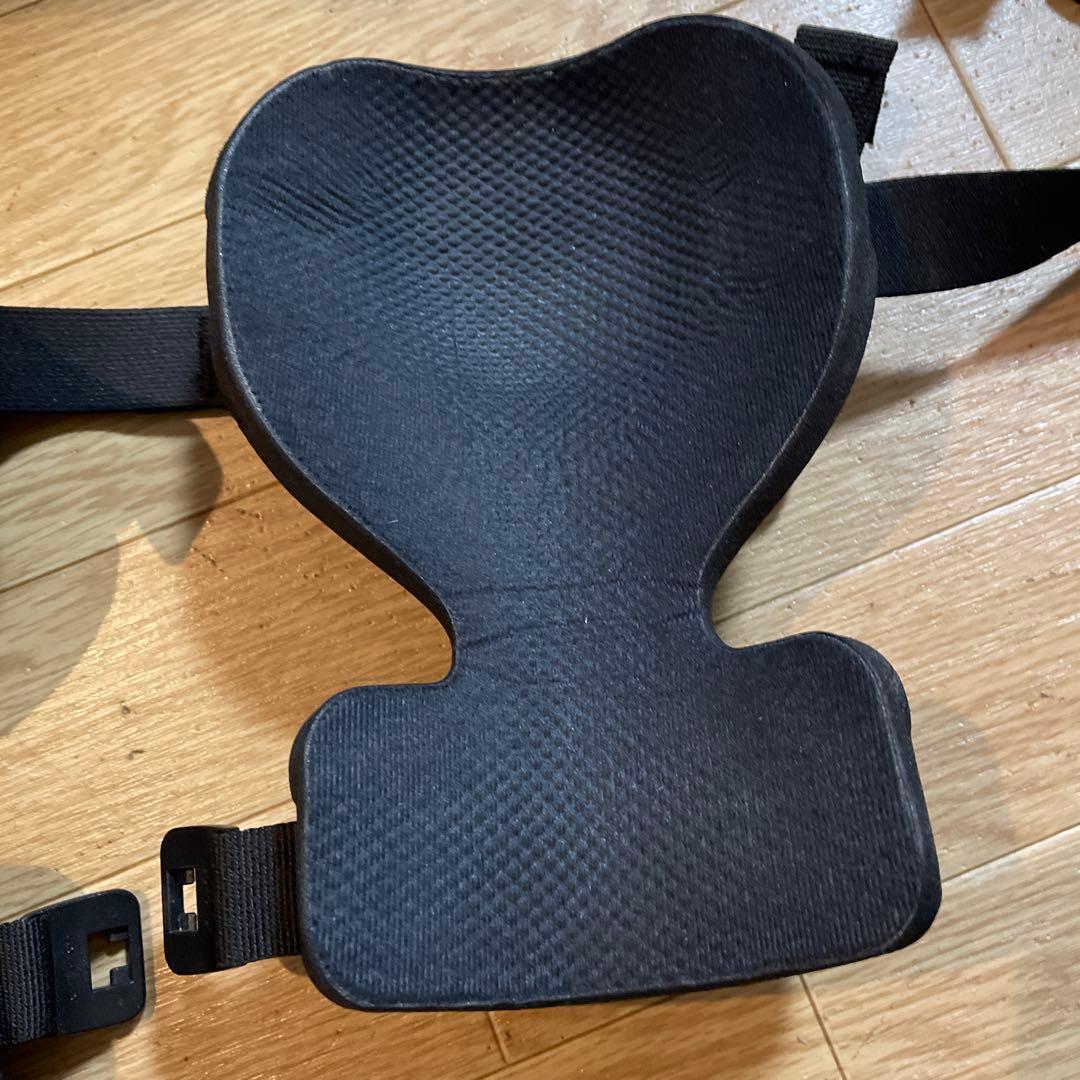 実物アークテリクスニーパッド