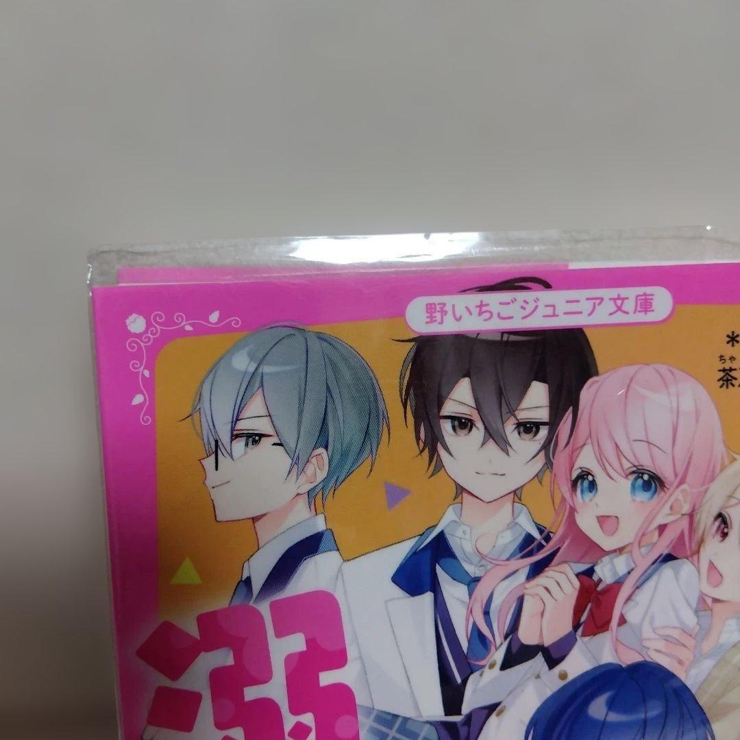 総長様は溺愛中につき 全14巻+2冊セット