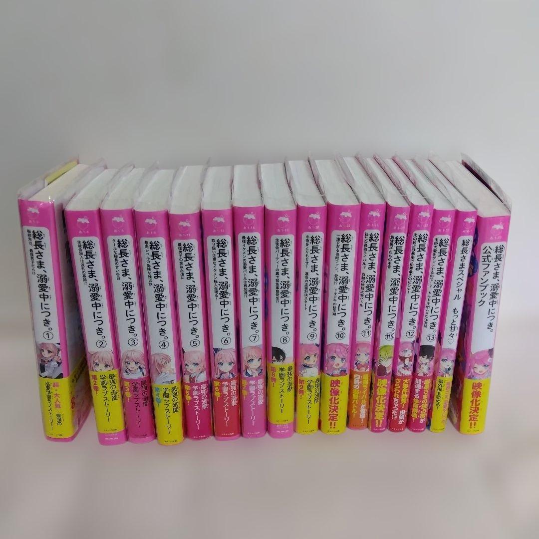 総長様は溺愛中につき 全14巻+2冊セット