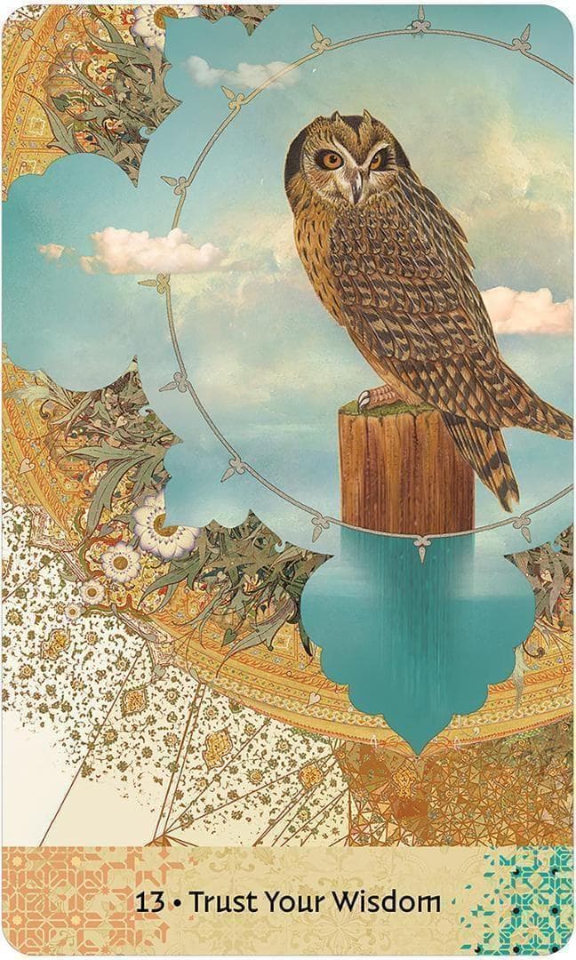 【正規品オラクルカード】海外美麗デッキ✨古代の知恵オラクル ゴールドエッジ 金縁