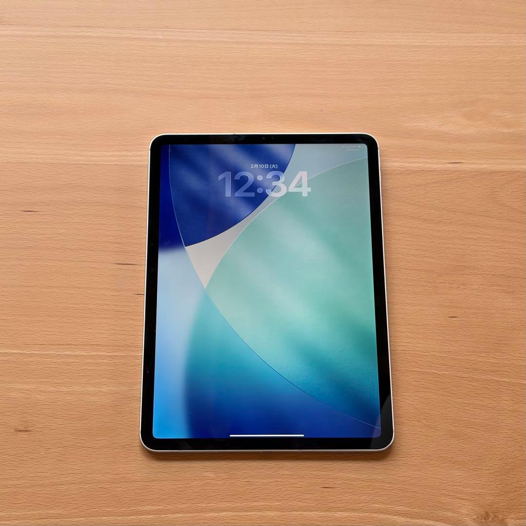iPad Pro 11 第1世代 64GB セルラー 【バッテリー87%】