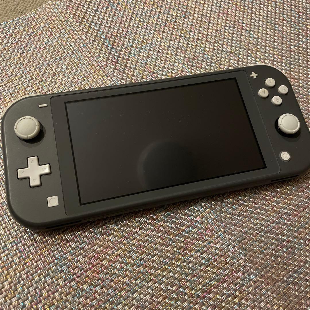 Nintendo Switch Lite グレー ケース付き