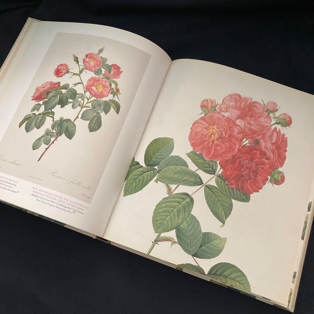 期間限定価格　美品洋書　REDOUTEルドゥーテ画集　ローズ　ボタニカルアート