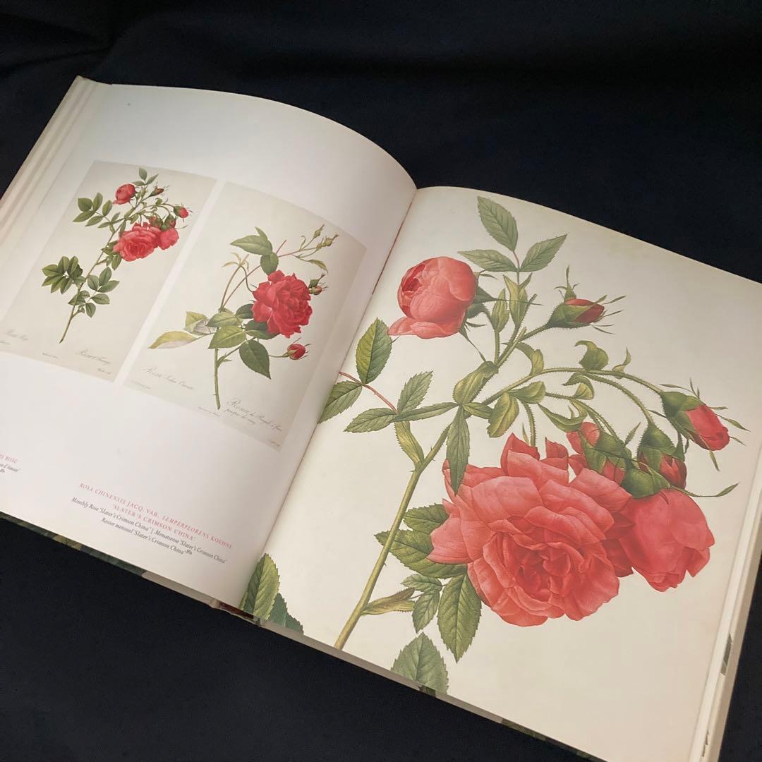期間限定価格　美品洋書　REDOUTEルドゥーテ画集　ローズ　ボタニカルアート
