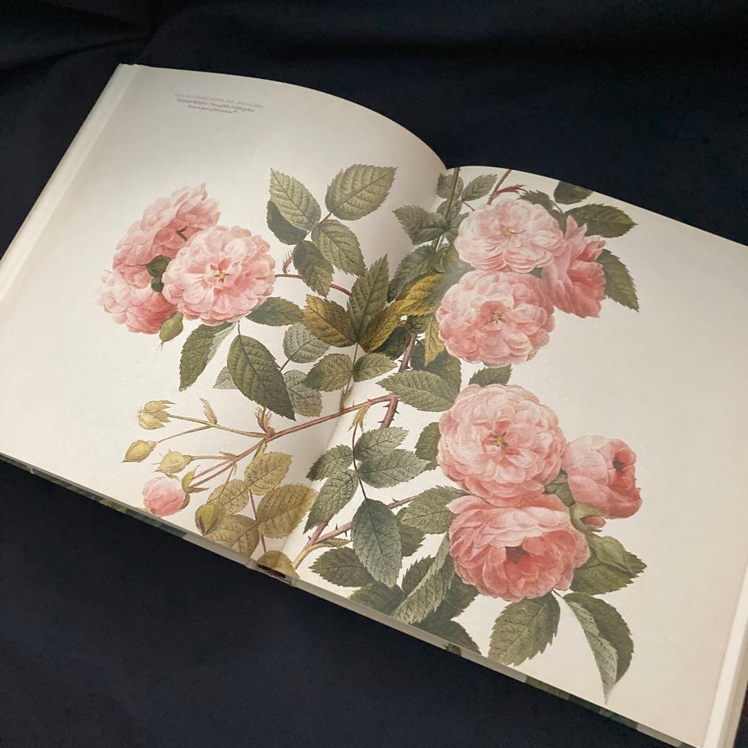 期間限定価格　美品洋書　REDOUTEルドゥーテ画集　ローズ　ボタニカルアート