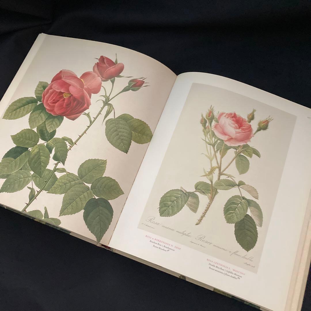 期間限定価格　美品洋書　REDOUTEルドゥーテ画集　ローズ　ボタニカルアート