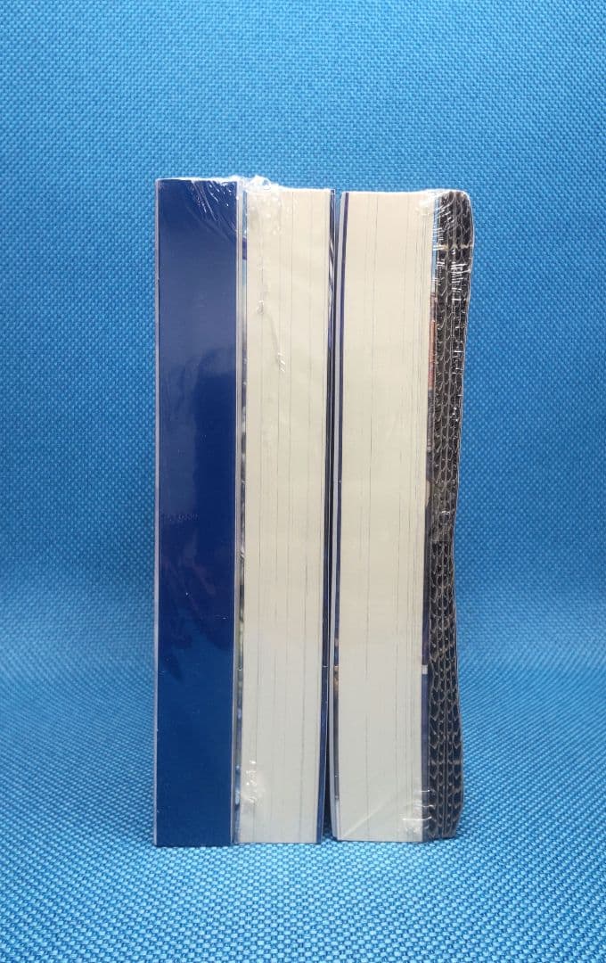 【新品】 賢者の弟子を名乗る賢者 特装版　2冊セット