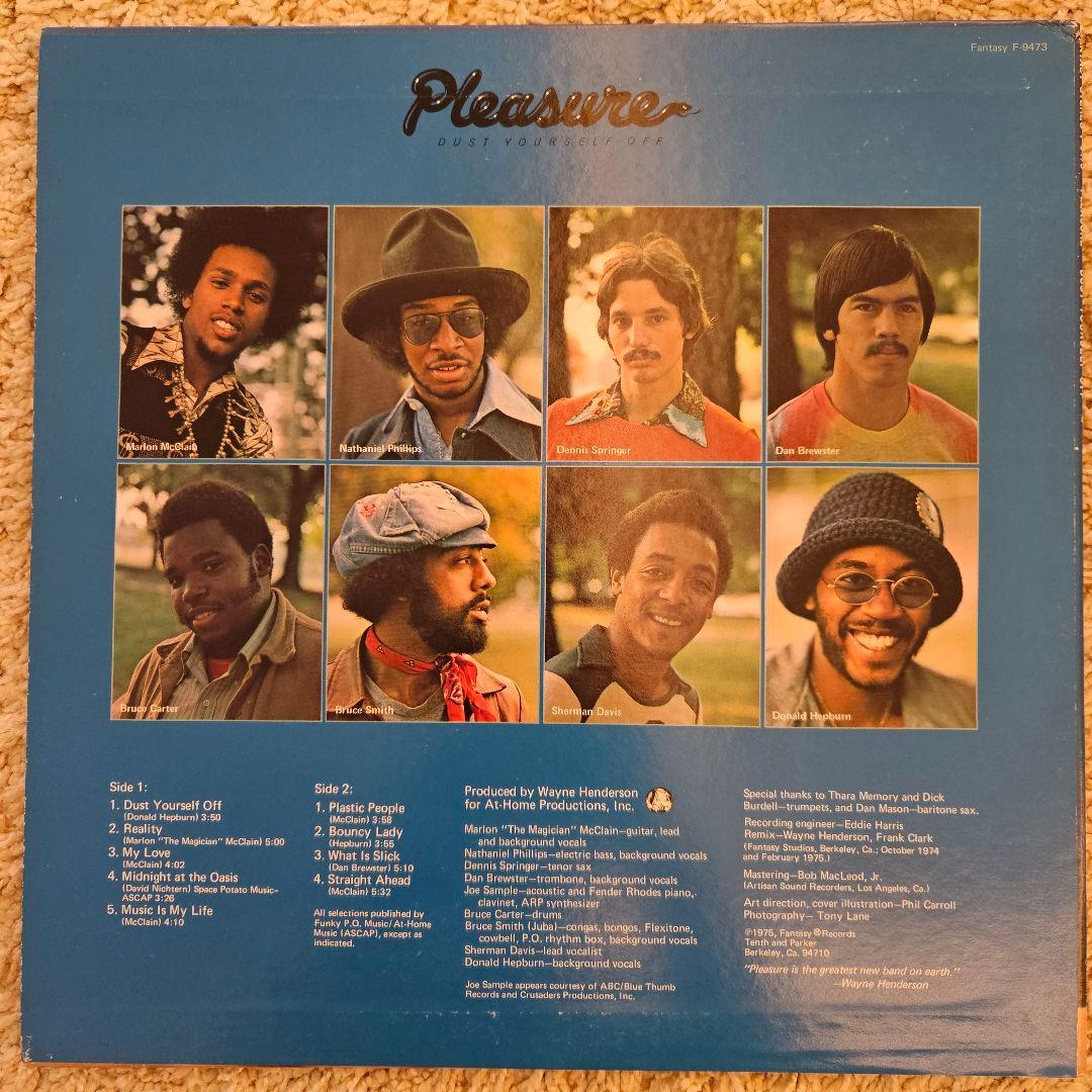 Pleasure Dust Yourself Off レコード lp