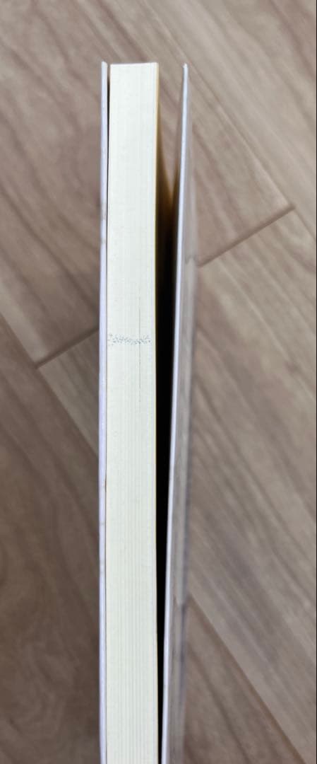 希少　がんの盲点　白血病はがんではない　大沼四廊著　創英社　三省堂書店