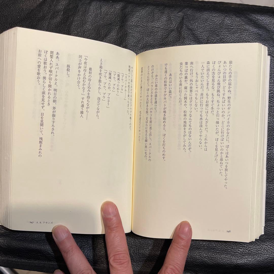 アメリカ現代詩101人集