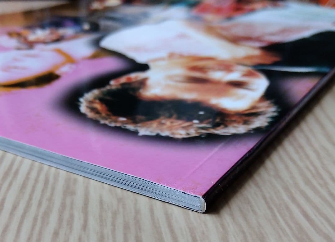 レスリー・チャン「跨越97演唱會」セット