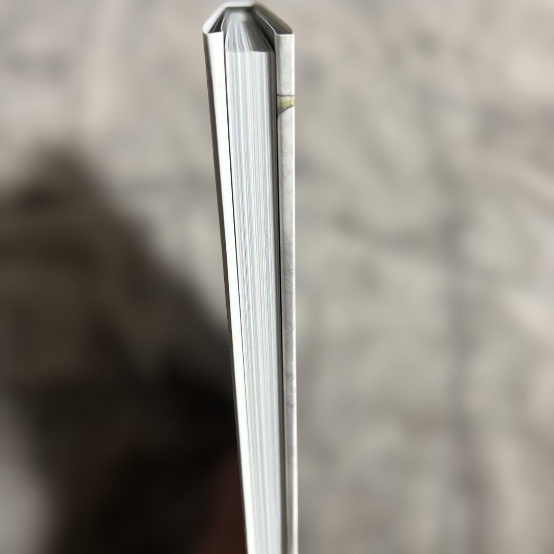 【初版】裏切りは僕の名前を知っているイラスト集 PHOSPHOR　小田切ほたる