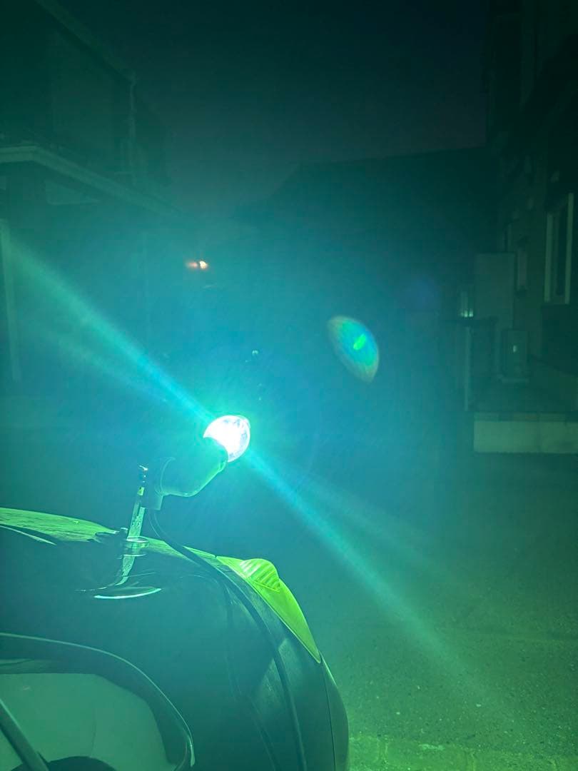 灯火採集　ライトトラップ　100W水銀灯　安定器　ランプホルダー付き