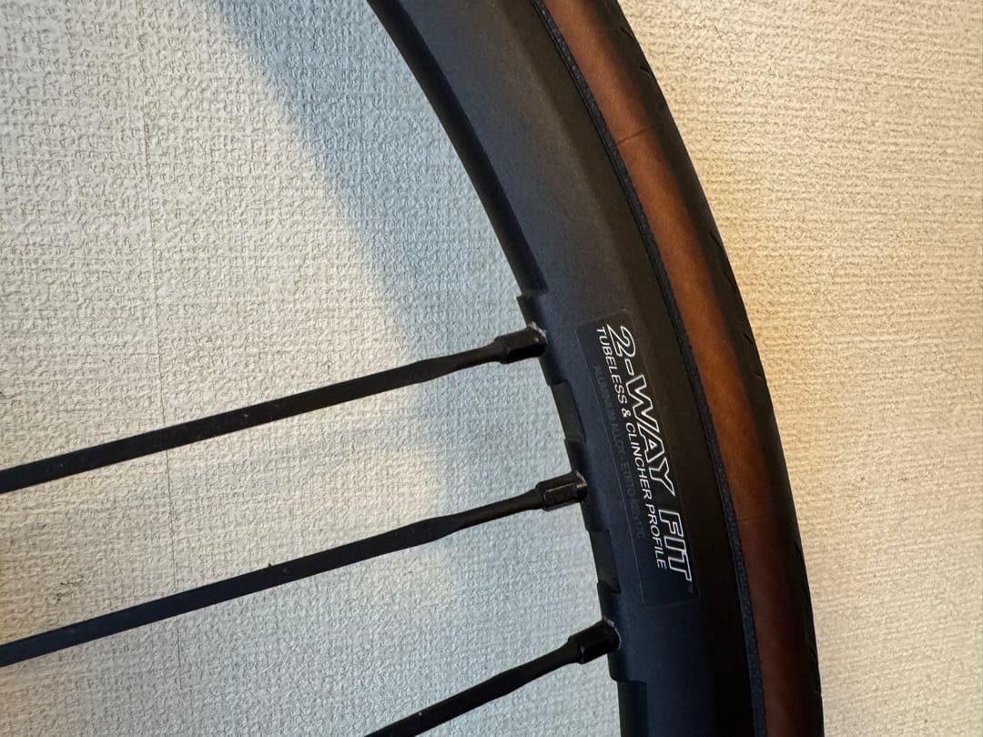 パーツ CAMPAGNOLO SHAMAL ULTRA DISC