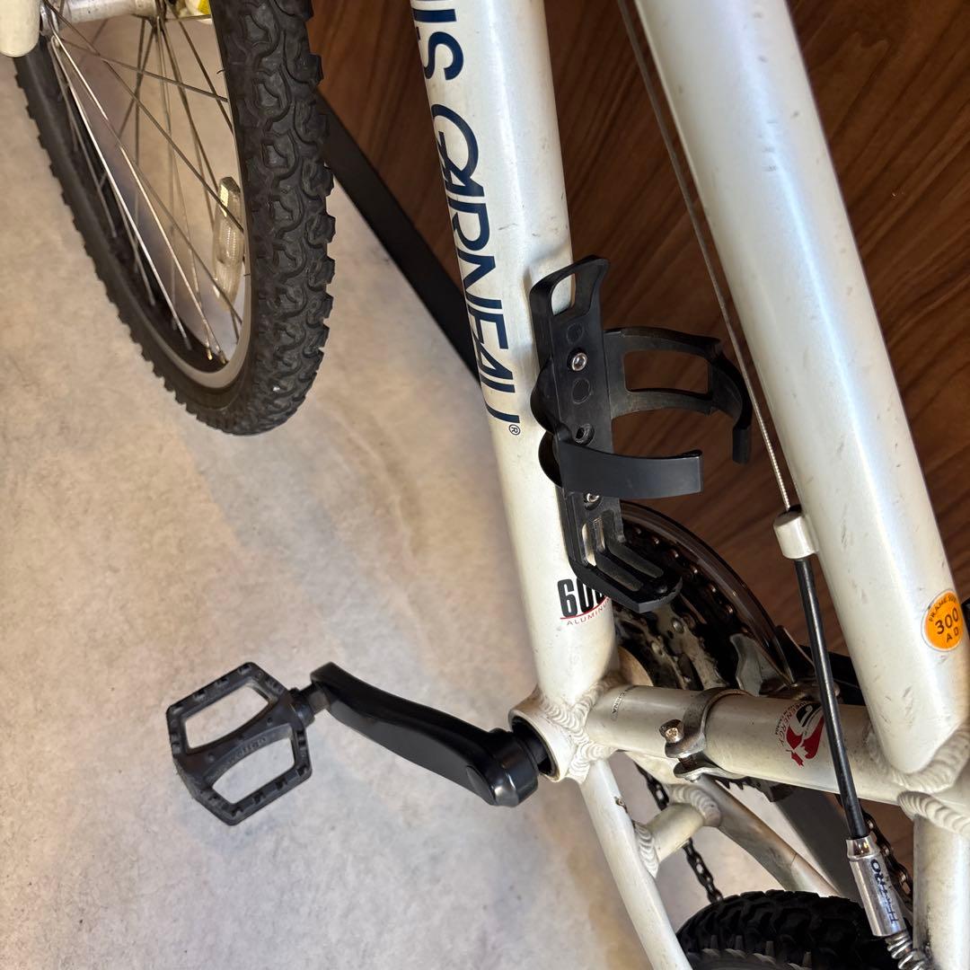 ルイガノ　子供用　自転車　キッズ 女の子　男の子　ジュニア24インチ