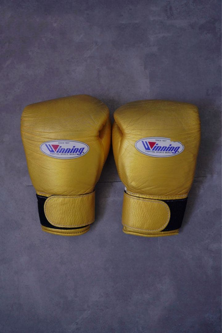 レア！！井上尚弥、武尊使用のゴールドwinning 8オンス　ゴールデングローブ