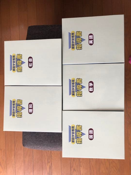 ☆値下げしました☆家庭学習専用 指導書