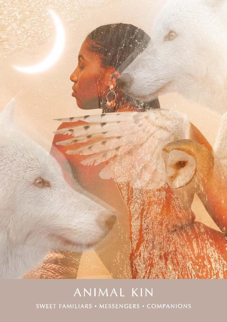 【正規品オラクルカード】超有名アーティストの新作✨夢をテーマにしたオラクルデッキ