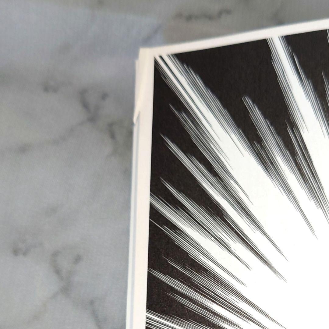 ぼくの地球を守って　愛蔵版 全10巻　セット