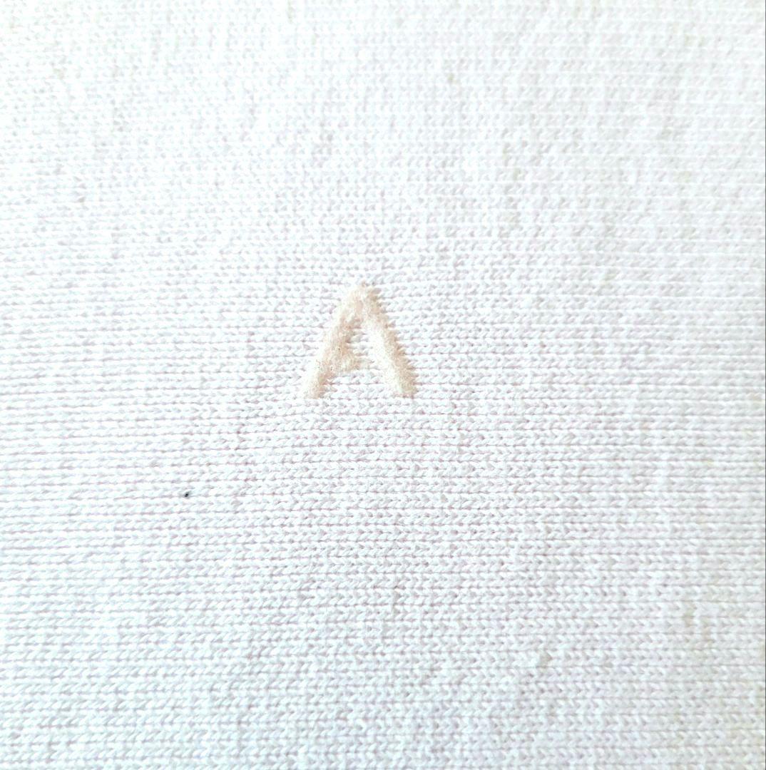 ATON ピンク クルーネックスウェット オーバーサイズ　 エイトン