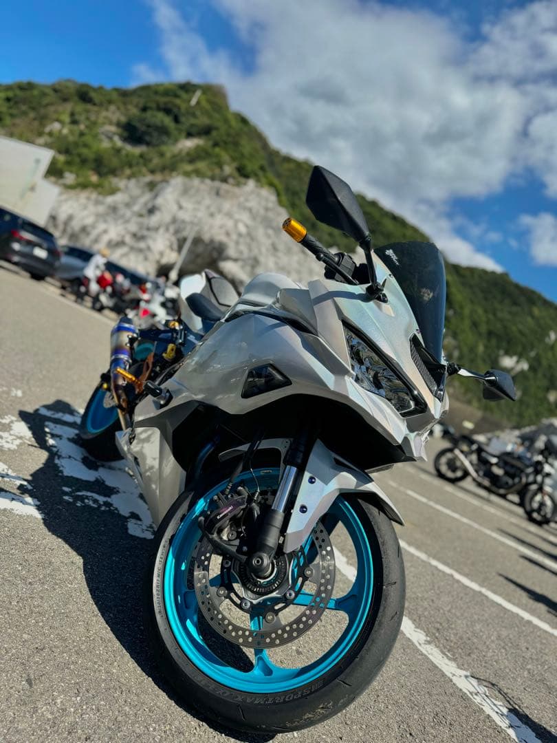 zx25r ゲイルスピード TYPE-GP1S