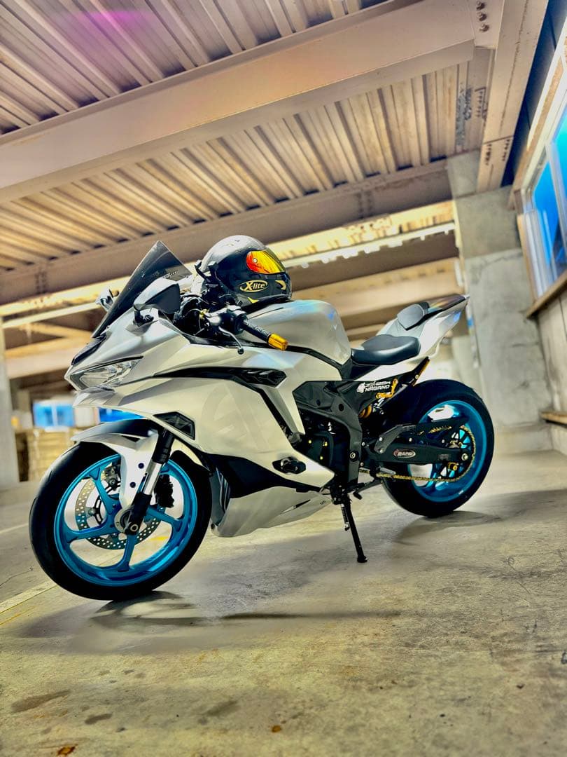 zx25r ゲイルスピード TYPE-GP1S