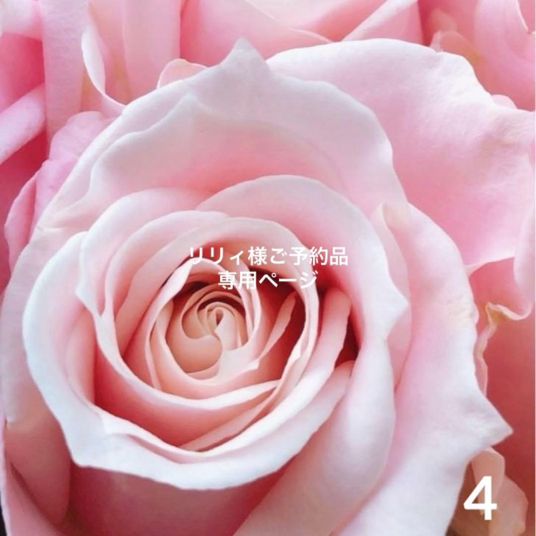 専用◇ ロイヤルコペンハーゲンフラワーエンブレムブルーローズプレート4点セット