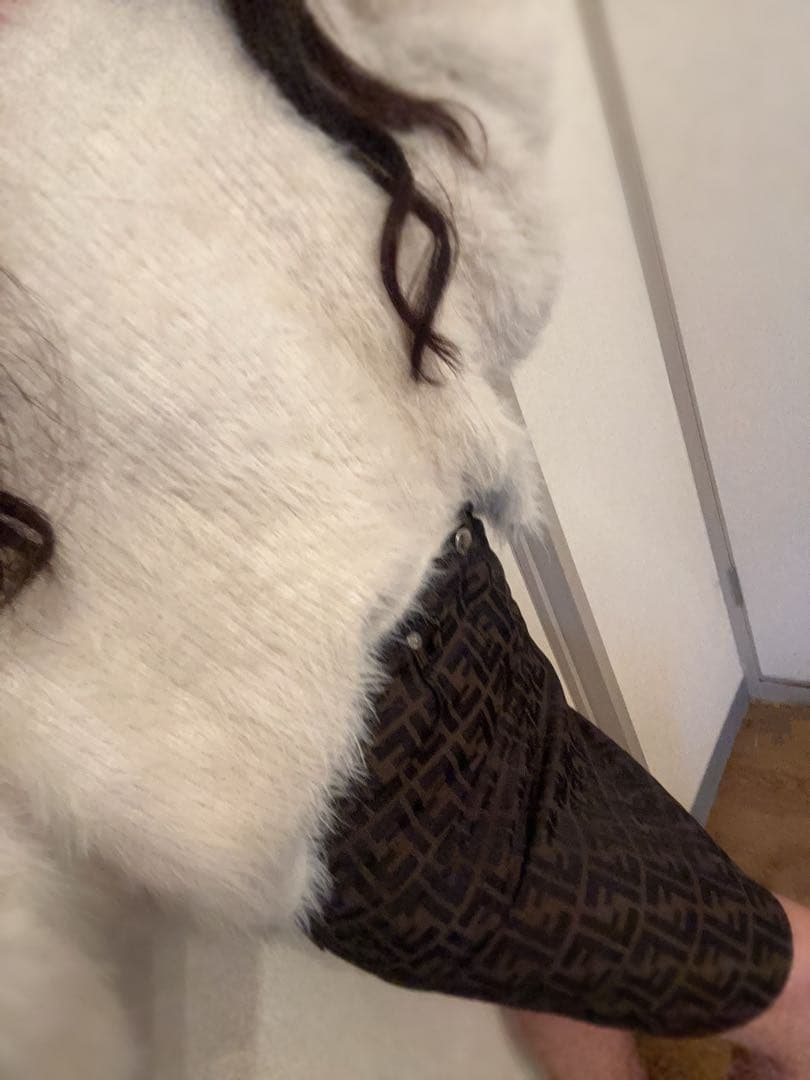 Fendi FFロゴプリント タイトスカート26インチ 【着衣写真も載せてます】