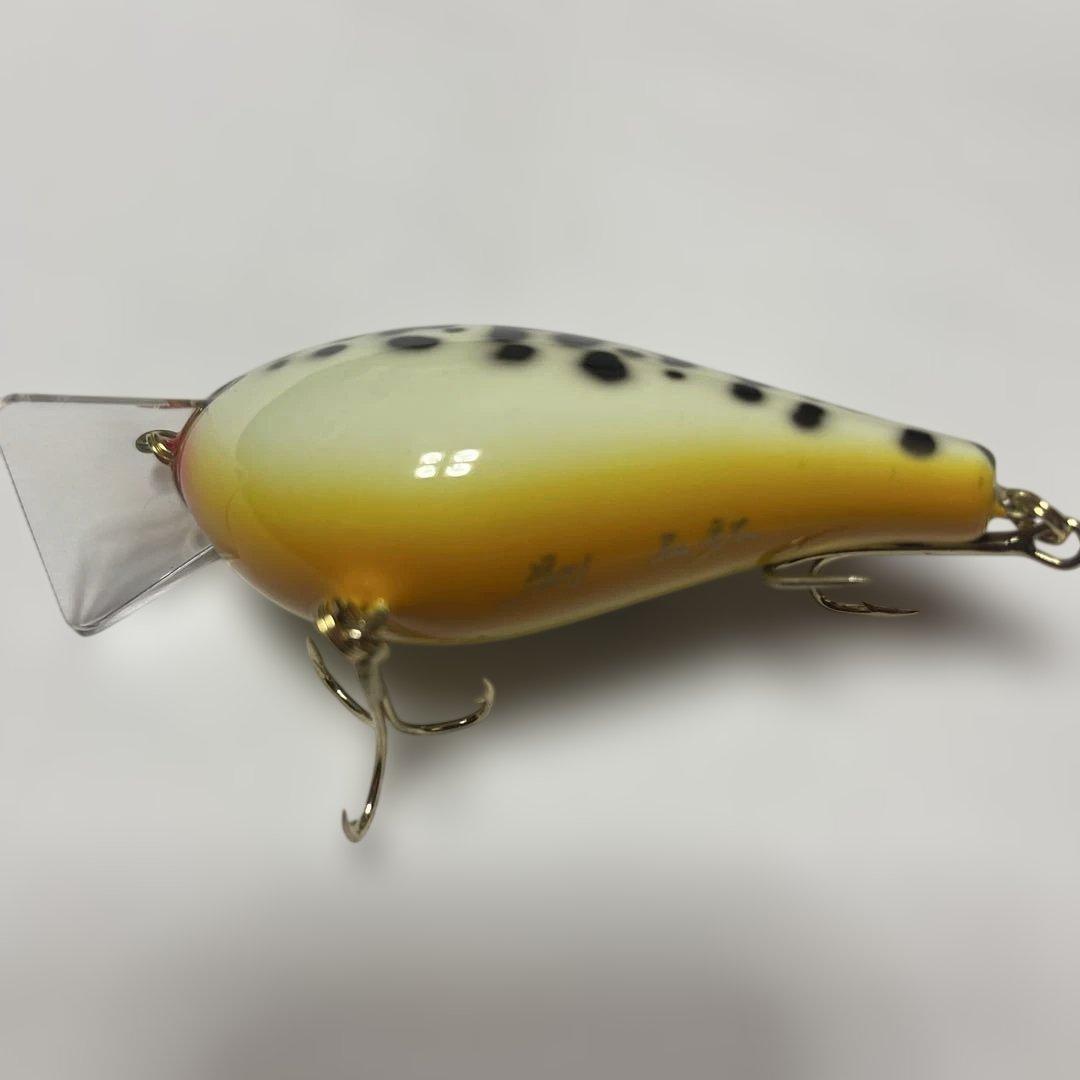 ザウルス　バルサ50orその134