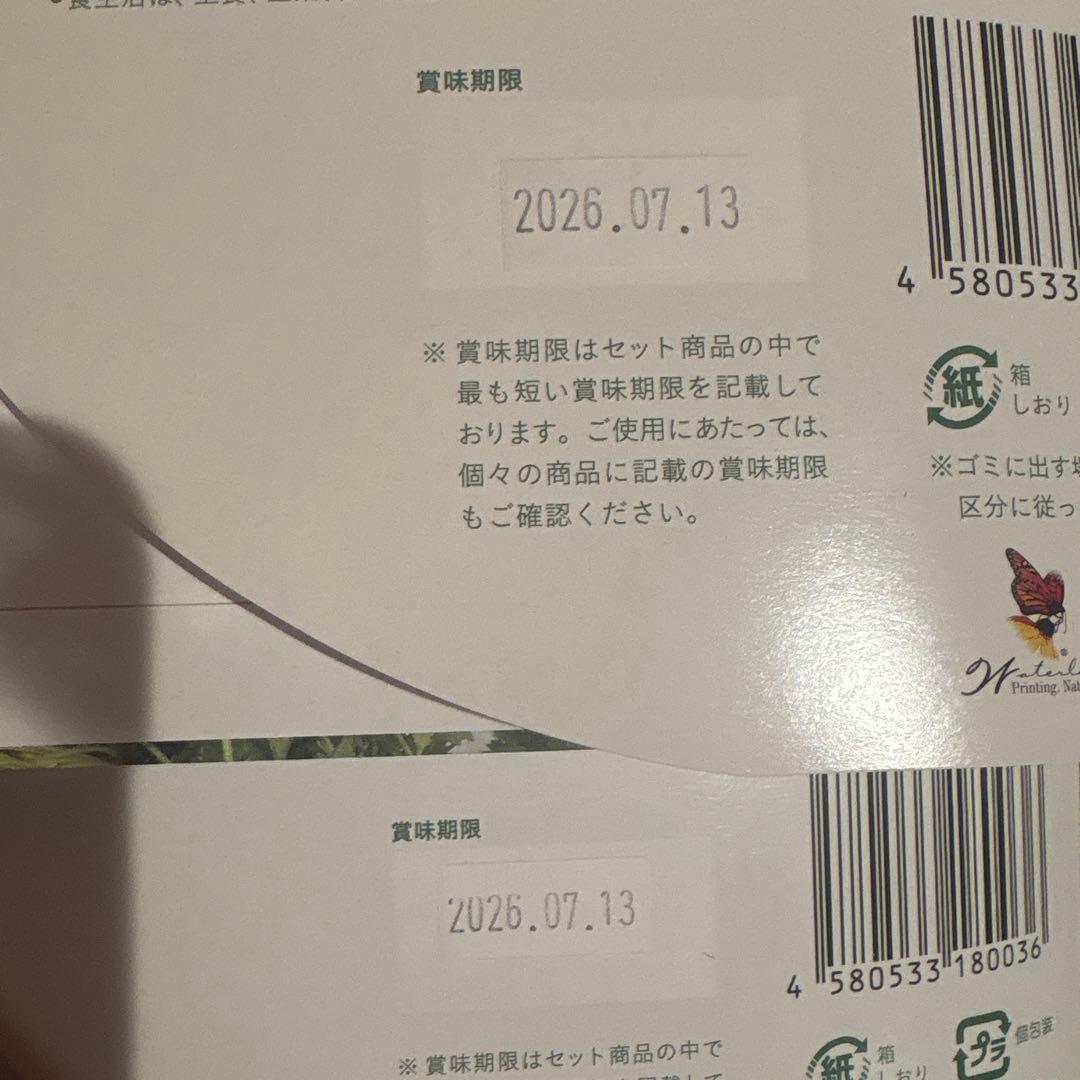 GREEN BROTHERS 1DAY CLEANSE SET 2個セット