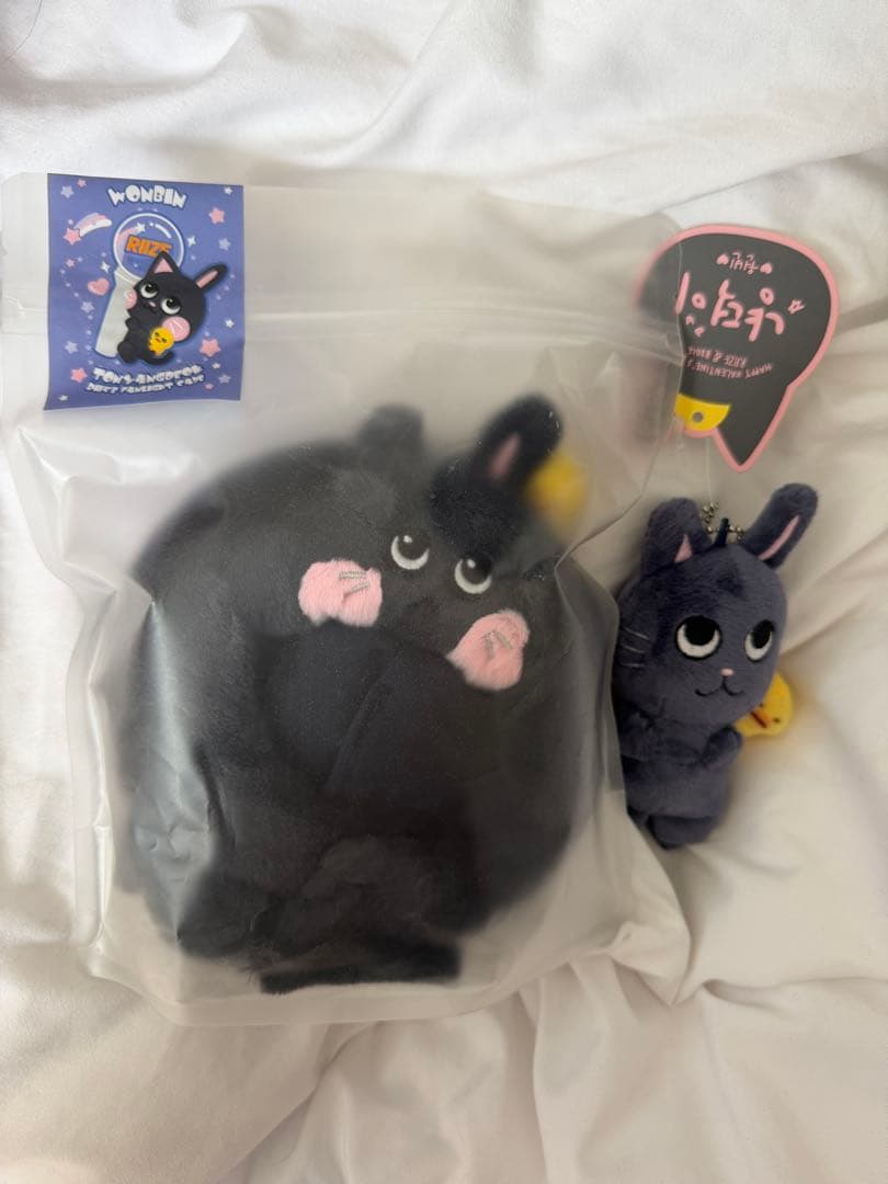 RIIZE ウォンビン ペンライトカバー トニャンドク 2点セット