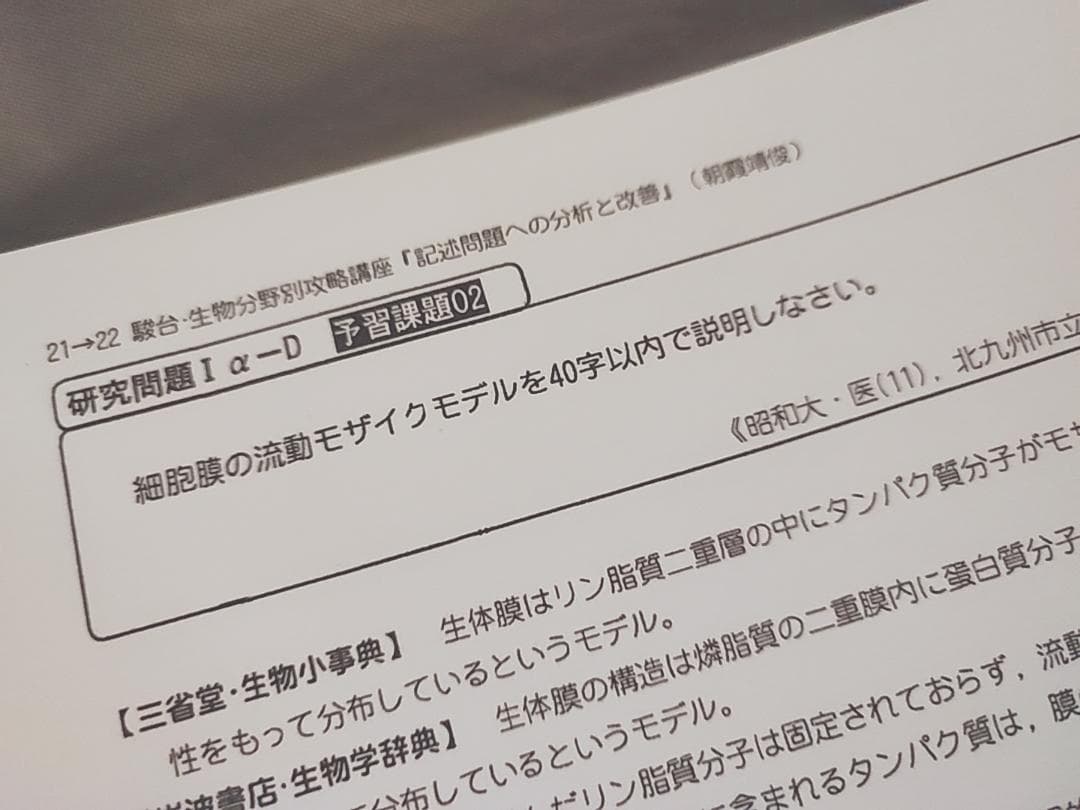 駿台　朝霞先生　記述問題のための分析と改善　フルセット　鉄緑会　Z会東進 SEG