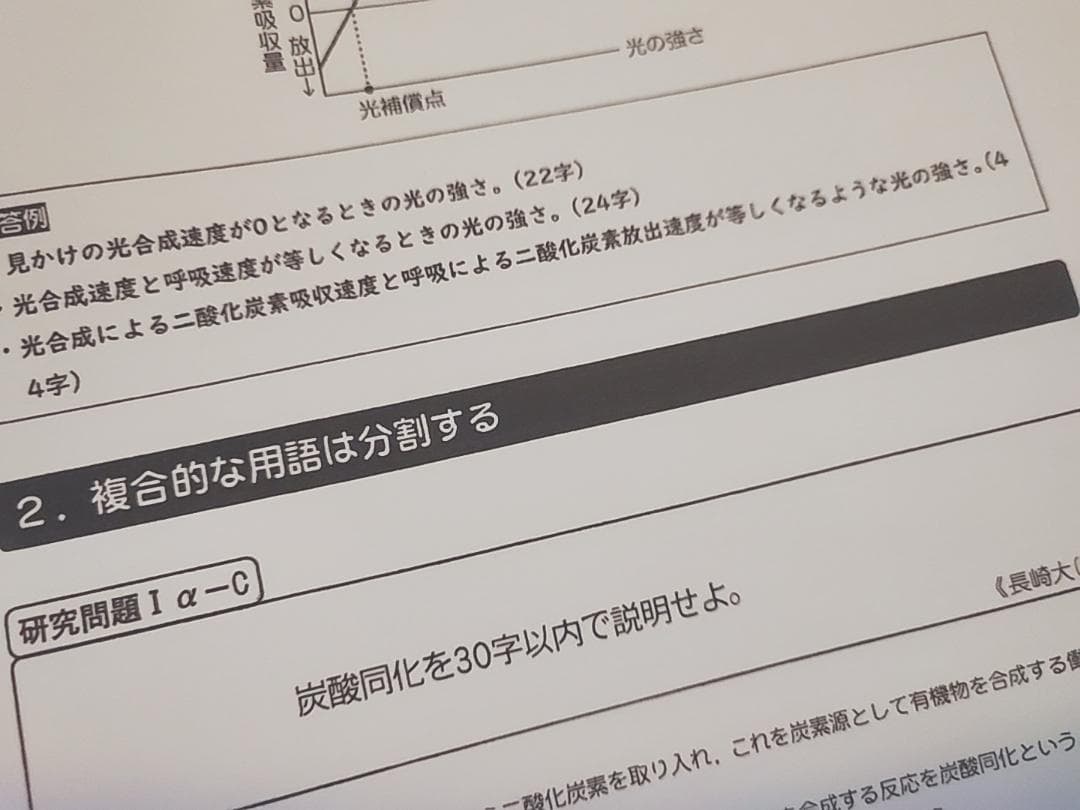 駿台　朝霞先生　記述問題のための分析と改善　フルセット　鉄緑会　Z会東進 SEG