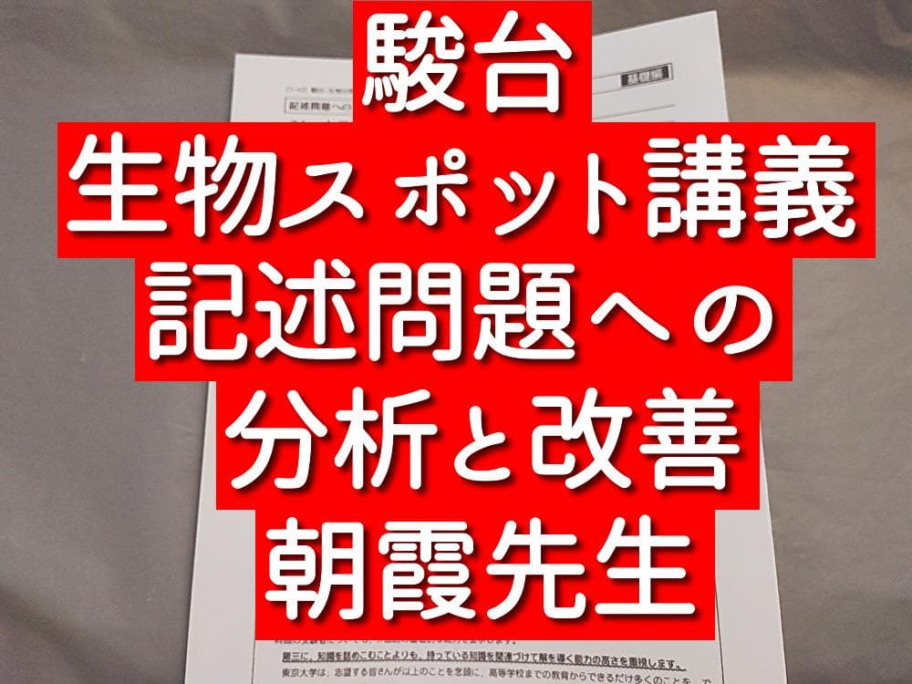 駿台　朝霞先生　記述問題のための分析と改善　フルセット　鉄緑会　Z会東進 SEG