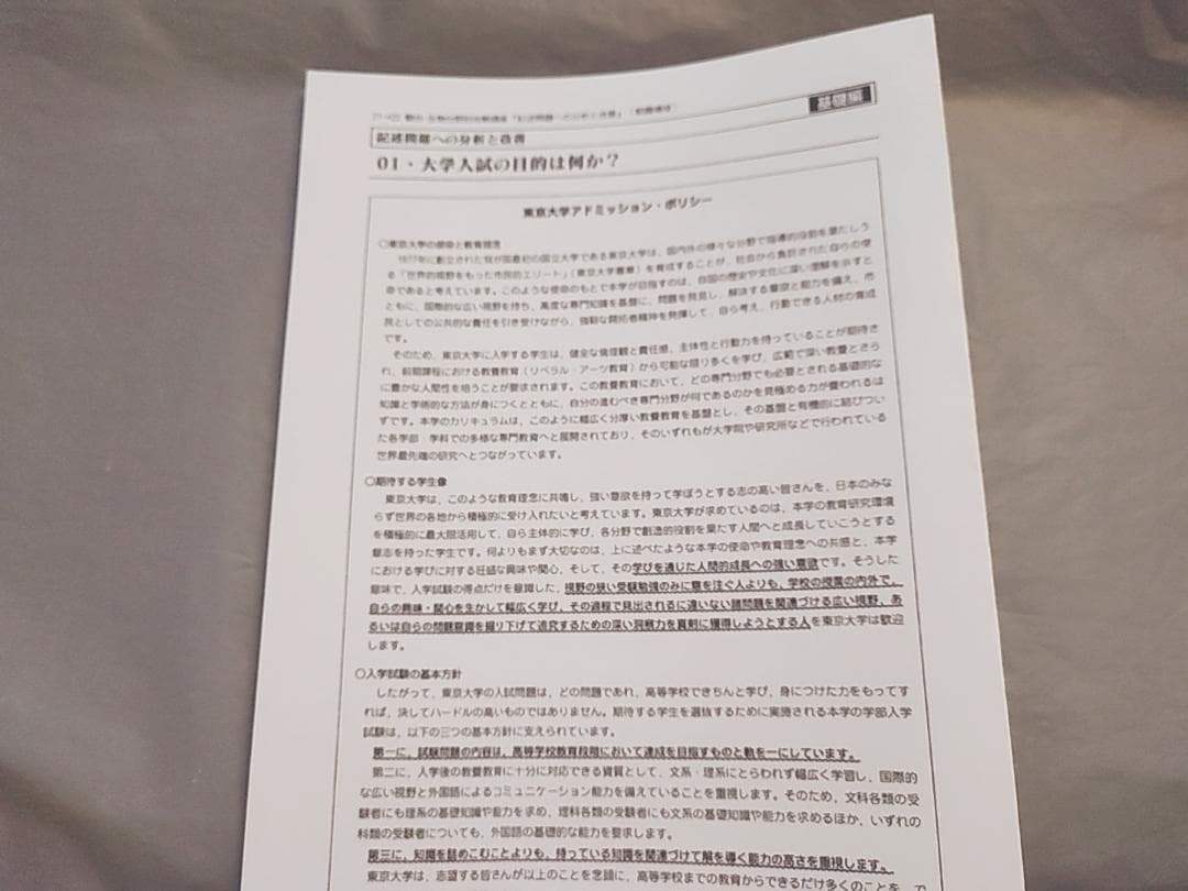 駿台　朝霞先生　記述問題のための分析と改善　フルセット　鉄緑会　Z会東進 SEG