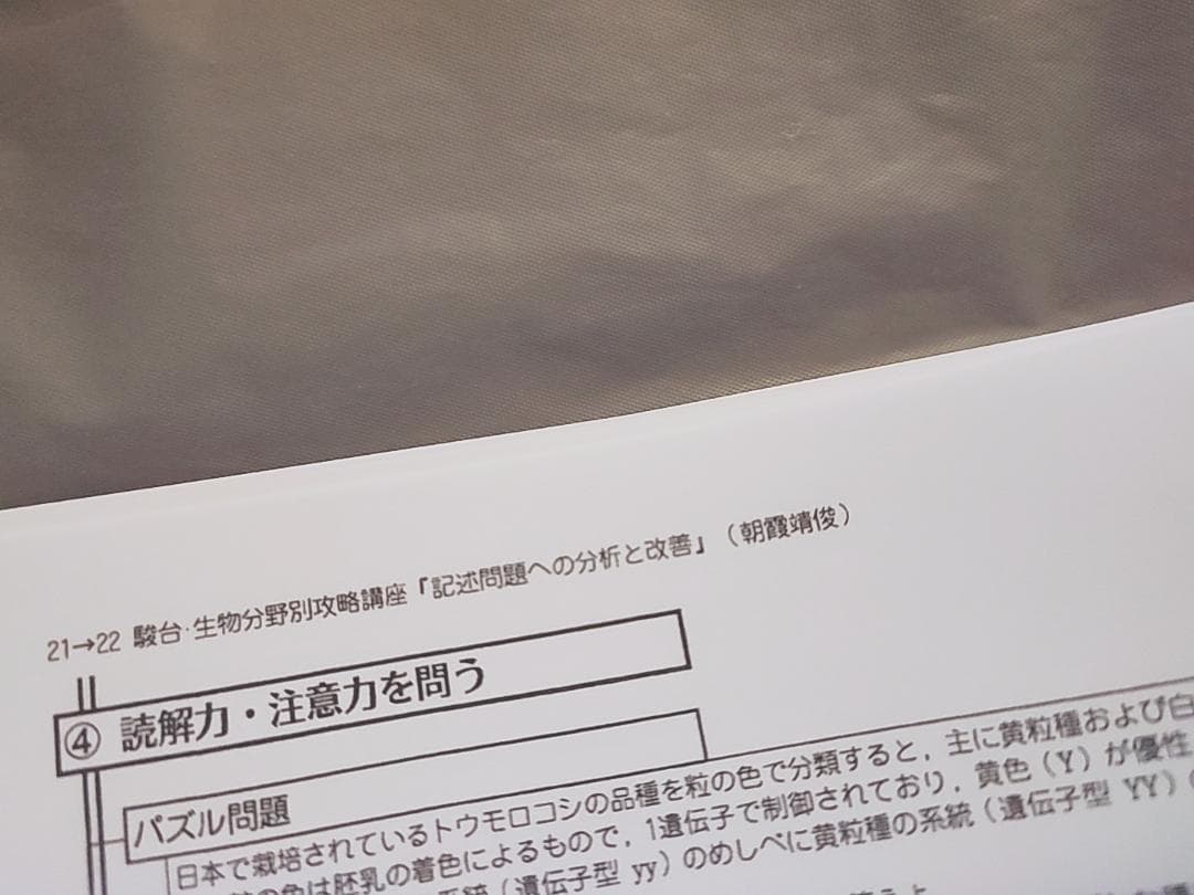 駿台　朝霞先生　記述問題のための分析と改善　フルセット　鉄緑会　Z会東進 SEG
